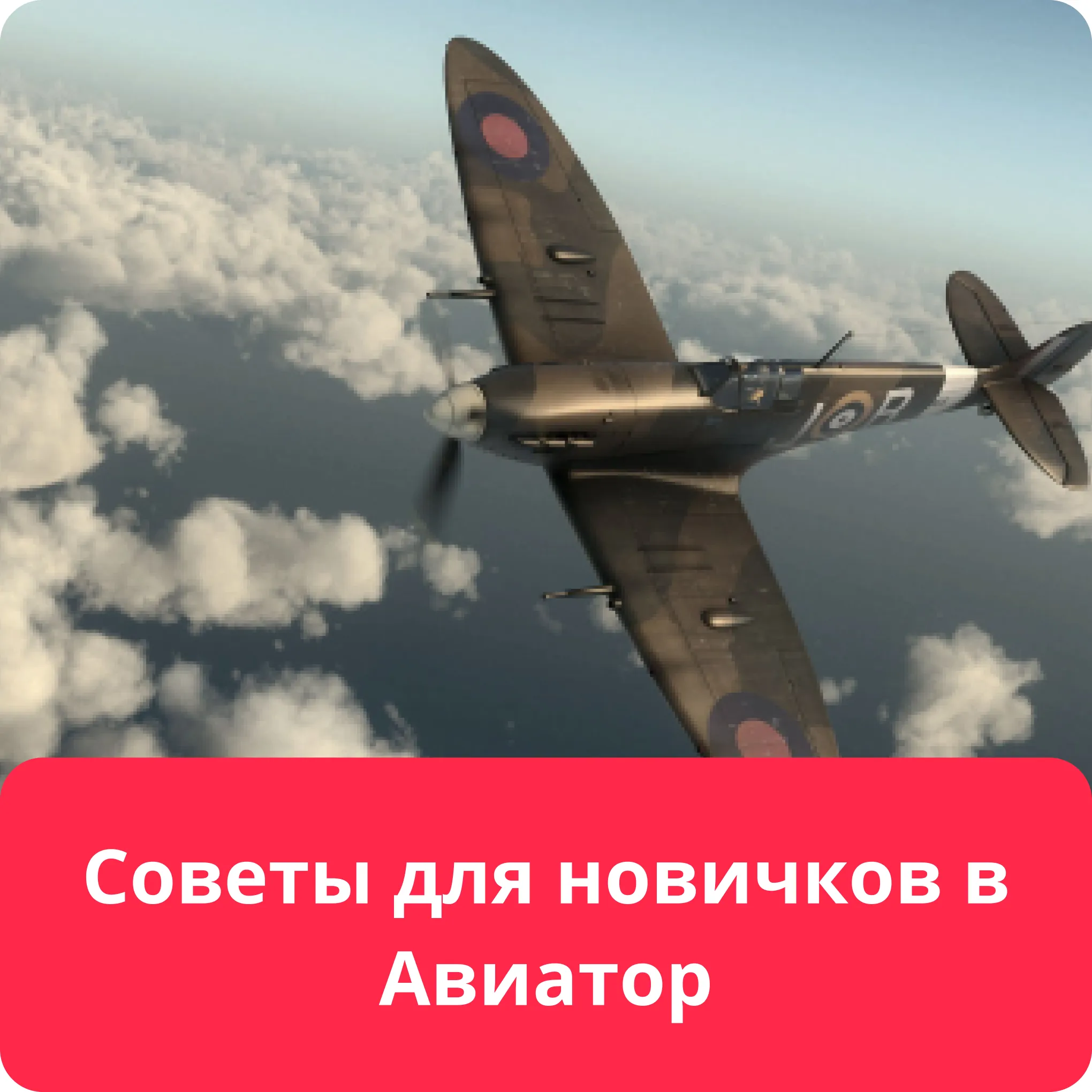 aviator